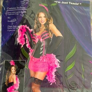 Dreamgirl “I’m just teasin” Costume 💃🏻💖